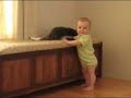 8 Month Old Goes Crazy near Cat 8 Month Old Goes Crazy near Cat