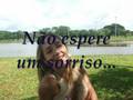Completo ivete sangalo 