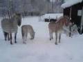 videos de Englas mamma smiter ifrån!!