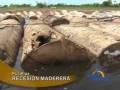 videos de Industria maderera esta paralizada en Pucallpa por recesion mundial