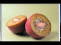 Tip: Adjustment Layers Tip: Adjustment Layers