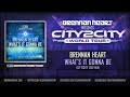 Brennan Heart – What it's It Gonna Be