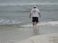 Dog Island Sandbar Shark