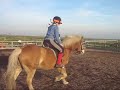 Jumping Pig 4th Feb