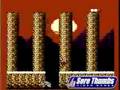 NES Nintendo RYGAR
