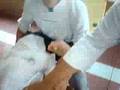 videos de VIOLACION DE QUIÑONES