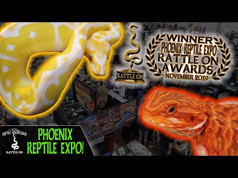 YouTube reptile video