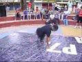 Flash Back Battle Flash Back Battle