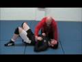 arm locks from side  control