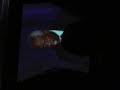 exclusive-justice-clarence-thomas-speech-1.html