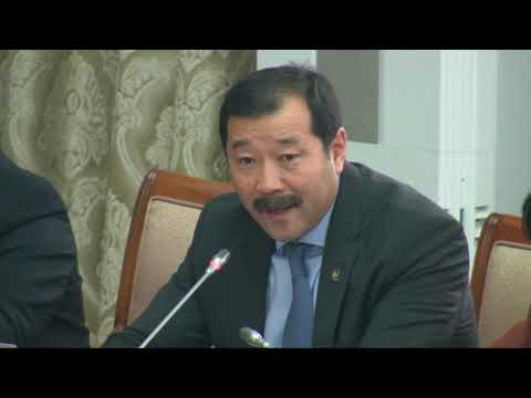 Д.Батлут: Монгол Улсын төрийн далбаатай онгоцонд ямар шаардлага тавьдаг вэ?