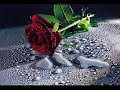 Kayliah - Quand Une Fille Est Love (Remix) Kayliah - Quand Une Fille Est Love (Remix)