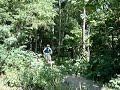 The Creek Jump