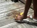 LEMON CRUSHED FLIP FLOP SHOW