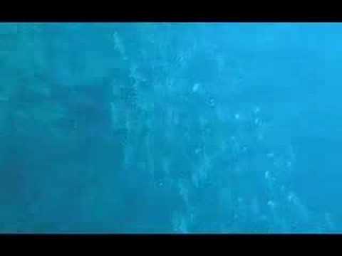 Buceo en Manado Sulawesi Indonesia