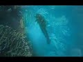 Tauchen Diving Sulawesi Manado Indonesien