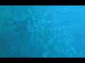 Tauchen Diving Sulawesi Manado Indonesien