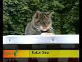 Mein Hund, meine Katze Mein Hund, meine Katze
