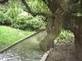 Les Jardins de Saint-Dizier Les Jardins de Saint-Dizier