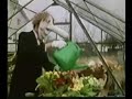 Noseybonk