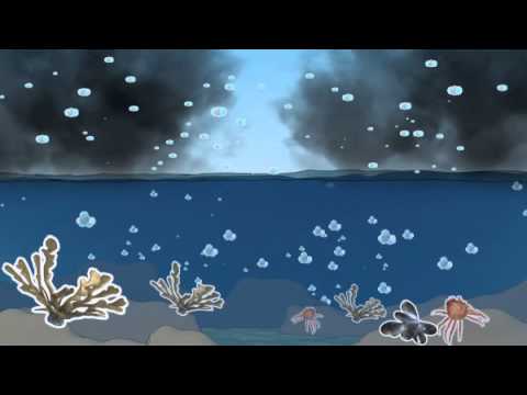youtube-img