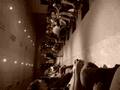 videos de Deesfilee Laarissa 1 '   by : adrielle, leticia, isadora :D