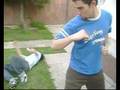 SENTENCIA DEL PASADO