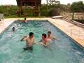 videos de imitando os animais