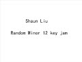 Random 12 minor key (no image) Random 12 minor key (no image)