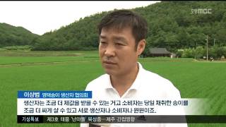 뉴스투데이