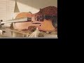 Click here to watch this video Delicata - Isaac Skelton