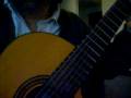 videos de PASILLO EL AGUACATE