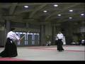 Daito Ryu SHINTOJUSHINKAI kenjyutsu Tomohiro Ishikawa