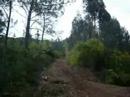 XAMBER�S TEAM Ponte de Lima 3