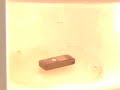 Microwave prank goes horribly wrong Microwave prank goes horribly wrong