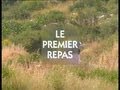 Histoire De L alimentation - Le Premier Repas