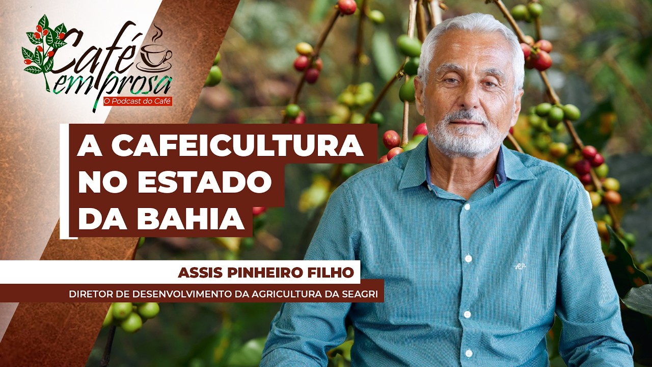 CAFÉ EM PROSA - Bahia é o 4º maior produtor de café do Brasil