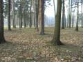 videos de Derriere la vie - devant la mort.wmv