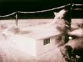 1955 Nevada Color Atom Bomb Test