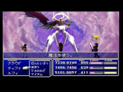動画