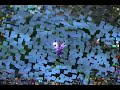 10 Mage WSG 10 Mage WSG