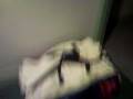 videos de seul.mp4
