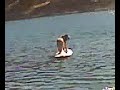 Zen of Surf