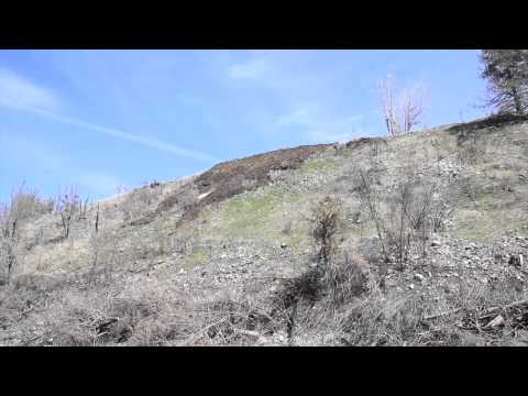 how to eliminate eutrophication