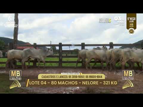 9� MEGA LEIL�O DA MB LEIL�ES