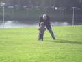 videos de Aug 28 Angel chasing a seagull