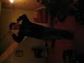 My little brothers dance moves