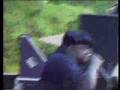 Notorious Big - Unbelieveble Live