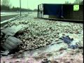 Gekantelde vrachtwagen op A58 bij Roosendaal