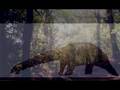 videos de El Dinosaurio